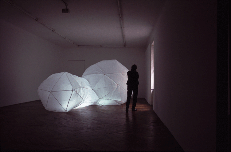 N Radic Cocoon